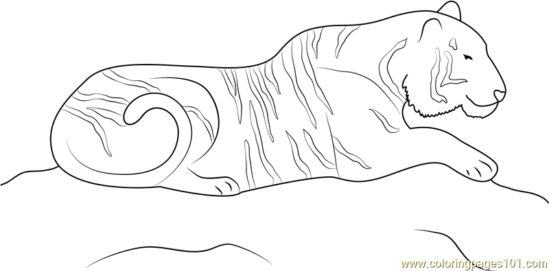 Tiger on Hunting Coloring Page for Kids - Free Tiger Printable Coloring
