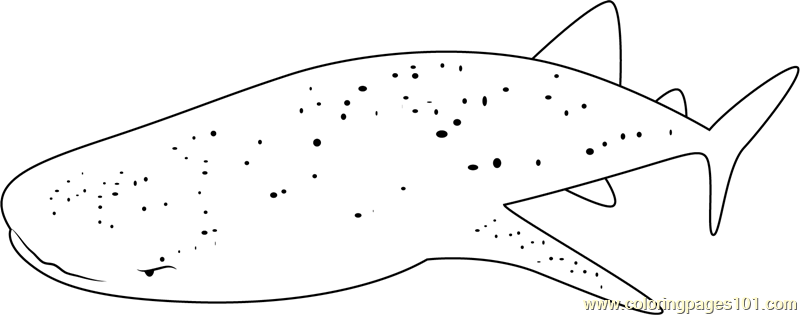 Whale Shark Belize Coloring Page for Kids - Free Whale Printable