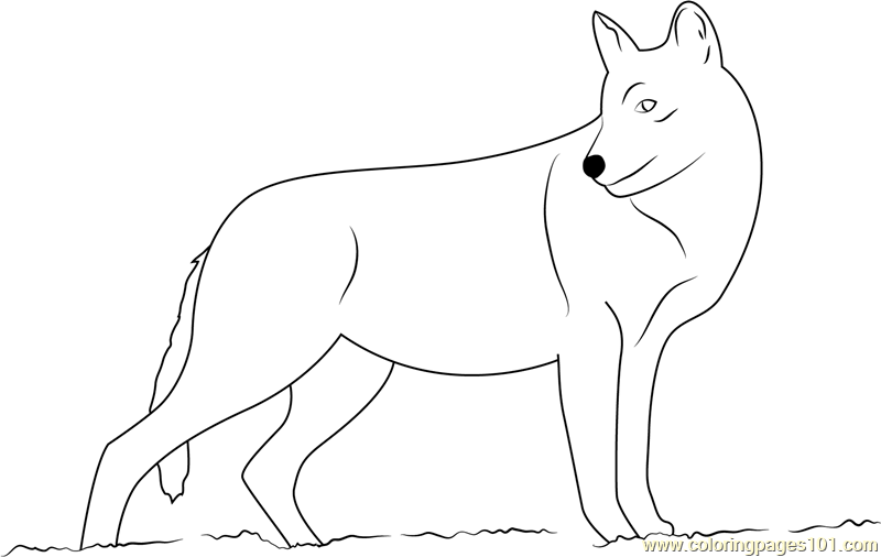 Smiling Wolf Coloring Page for Kids - Free Wolf Printable Coloring