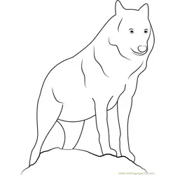 Canis Lupus Lupus Coloring Page for Kids - Free Wolf Printable Coloring ...
