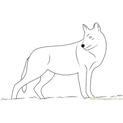 Smiling Wolf Coloring Page for Kids - Free Wolf Printable Coloring ...