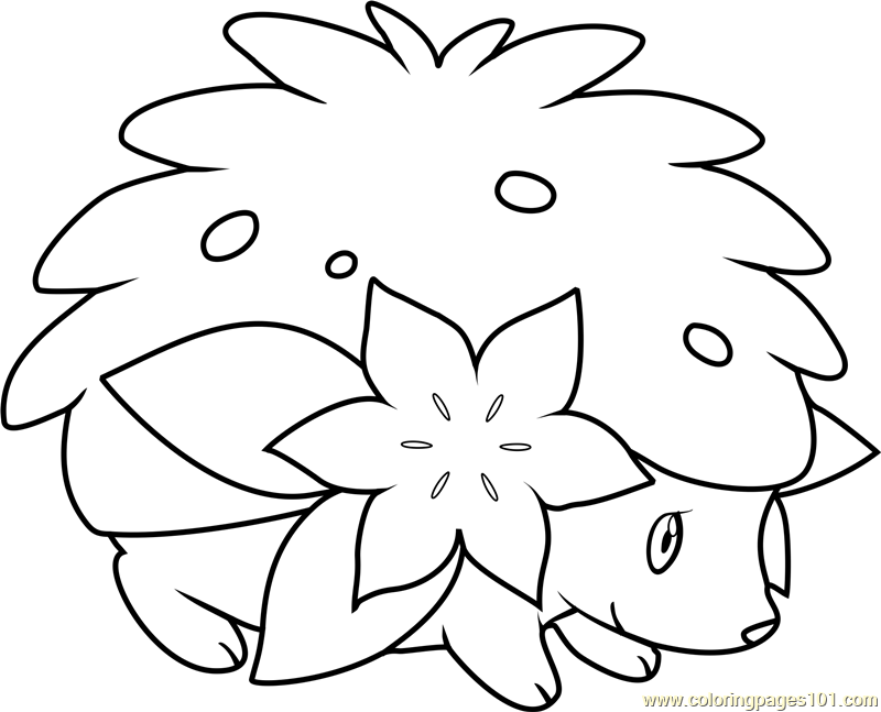 how to draw shaymin sky step 8  Pokemon coloring pages, Pokemon coloring,  Drawings