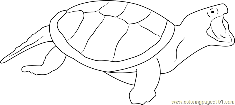 Turtle Attacking Coloring Page for Kids - Free Turtles Printable ...