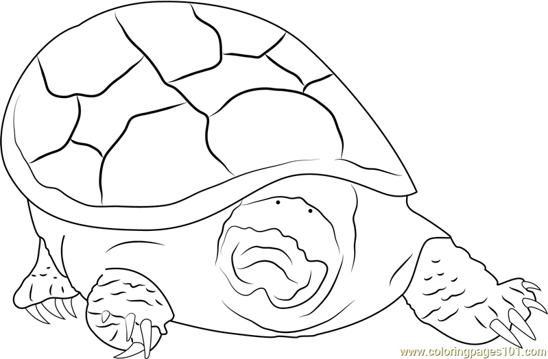 Turtle Mouth Coloring Page For Kids - Free Turtles Printable Coloring 