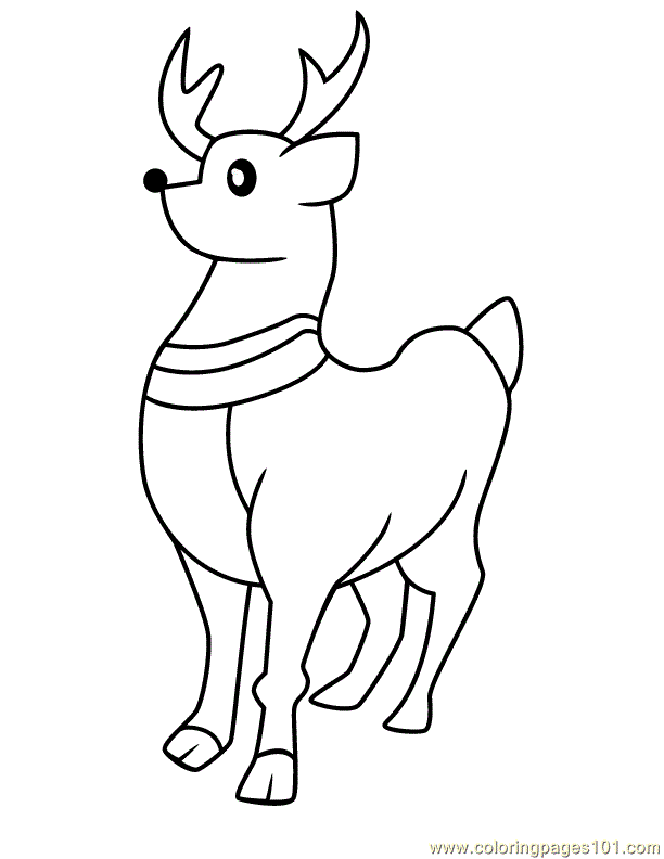 Shorkie Coloring Pages Coloring Pages