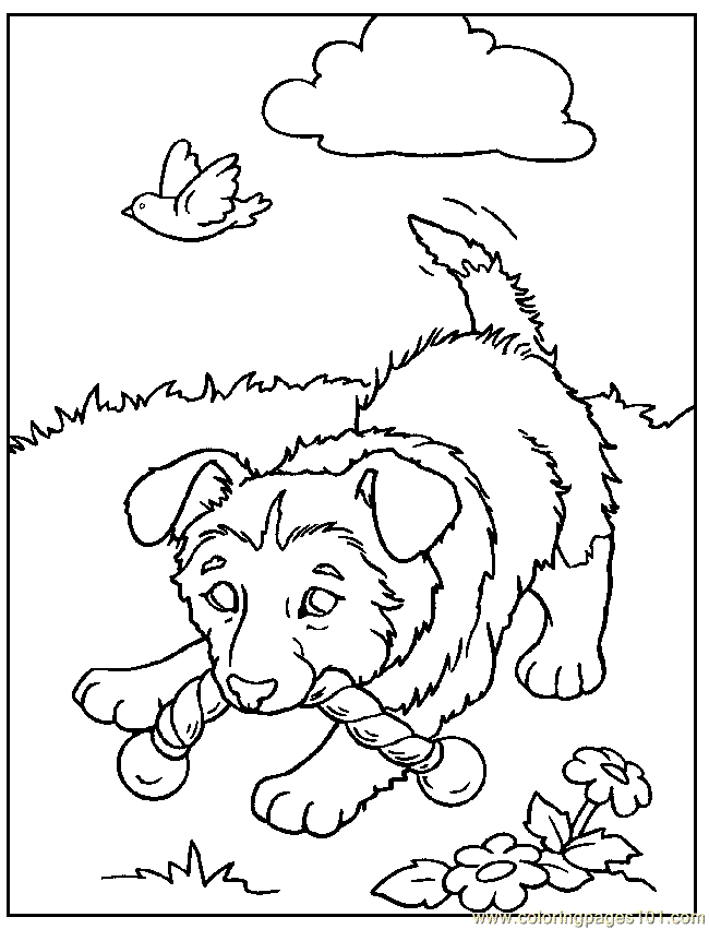 Coloring Pages Dog10 (Animals > Dogs) - free printable coloring page online