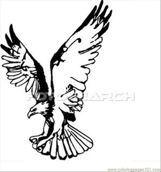 Coloring Pages Eagle Wings Up (Birds > Eagle) - free printable coloring ...