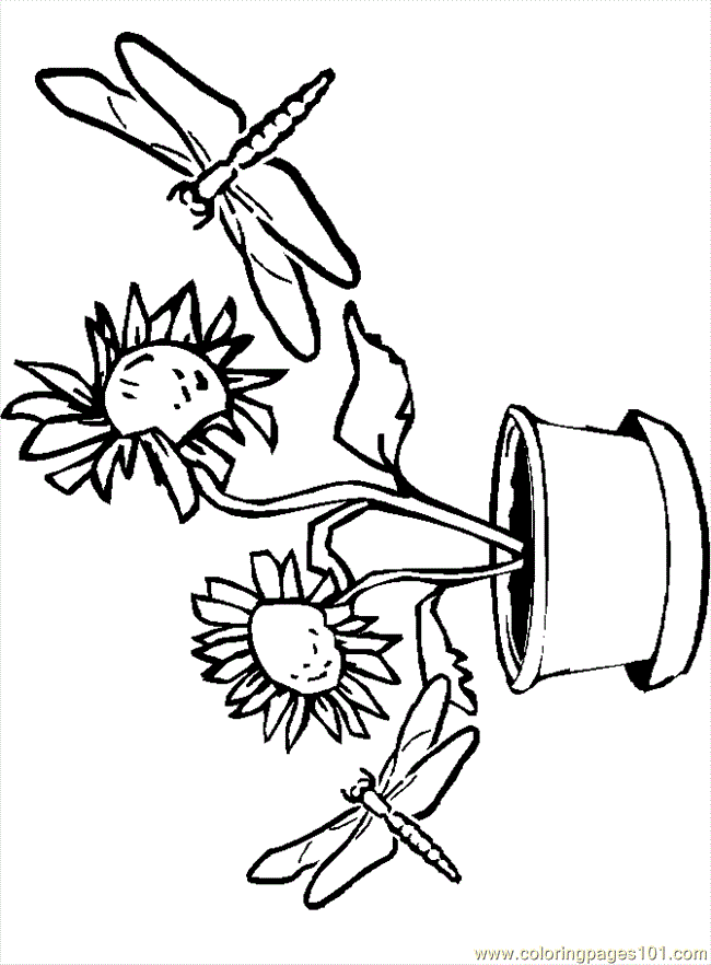 Flowers and dragonflies coloring pages