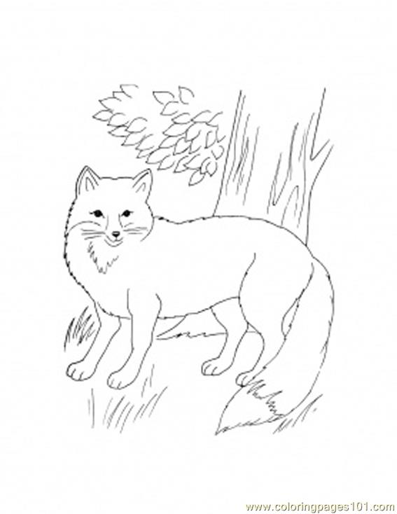 Fox Racing Monster Coloring Pages Coloring Pages