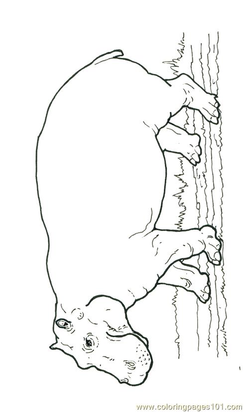 Coloring Pages Mural Hhl Hippo (Animals > Hippopotamus ) - free ...