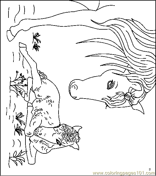 Detailed Horse Coloring Pages 10
