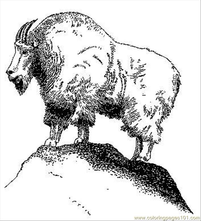Coloring Pages Mountain Goat (Natural World > Mountain) - free ...